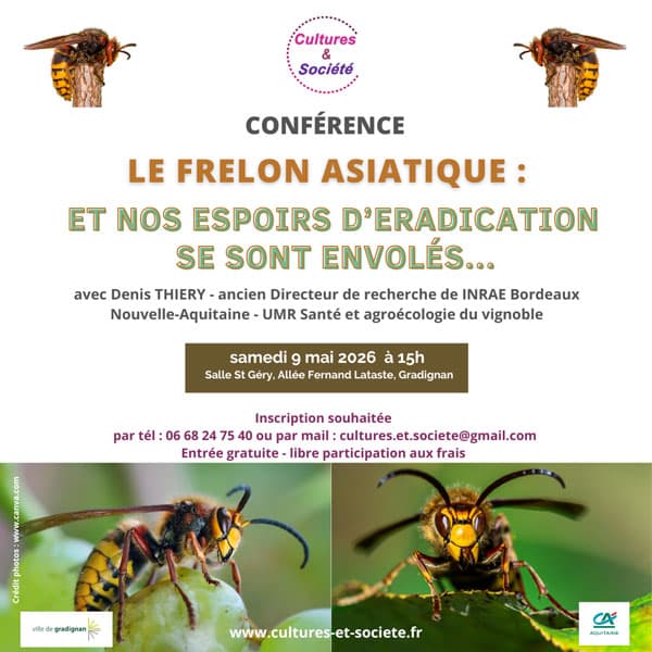 Visuel d'invitation à la conférence "Le frelon asiatique : et nos espoirs d'éradication se sont envolés..." avec Denis THIERY, Directeur de recherche retraité d'INRAE Bordeaux Aquitaine